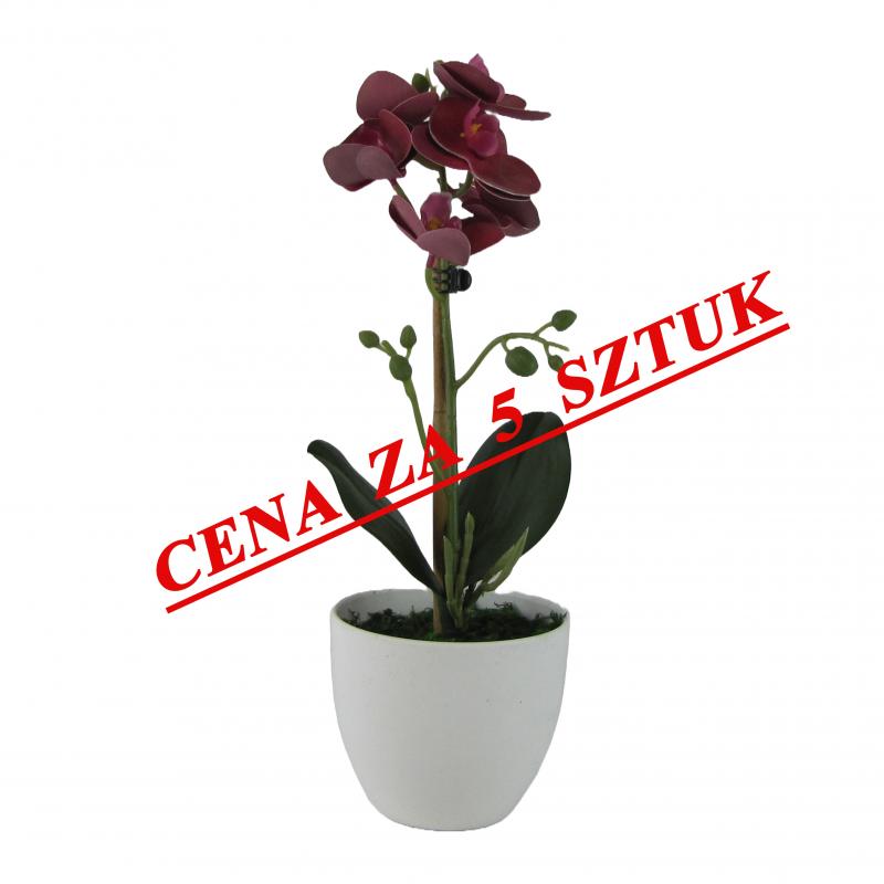 Sztuczny storczyk w doniczce 37cm bordowy (5 szt.)